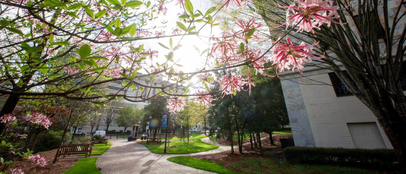 Emory Campus with Spring Flowers