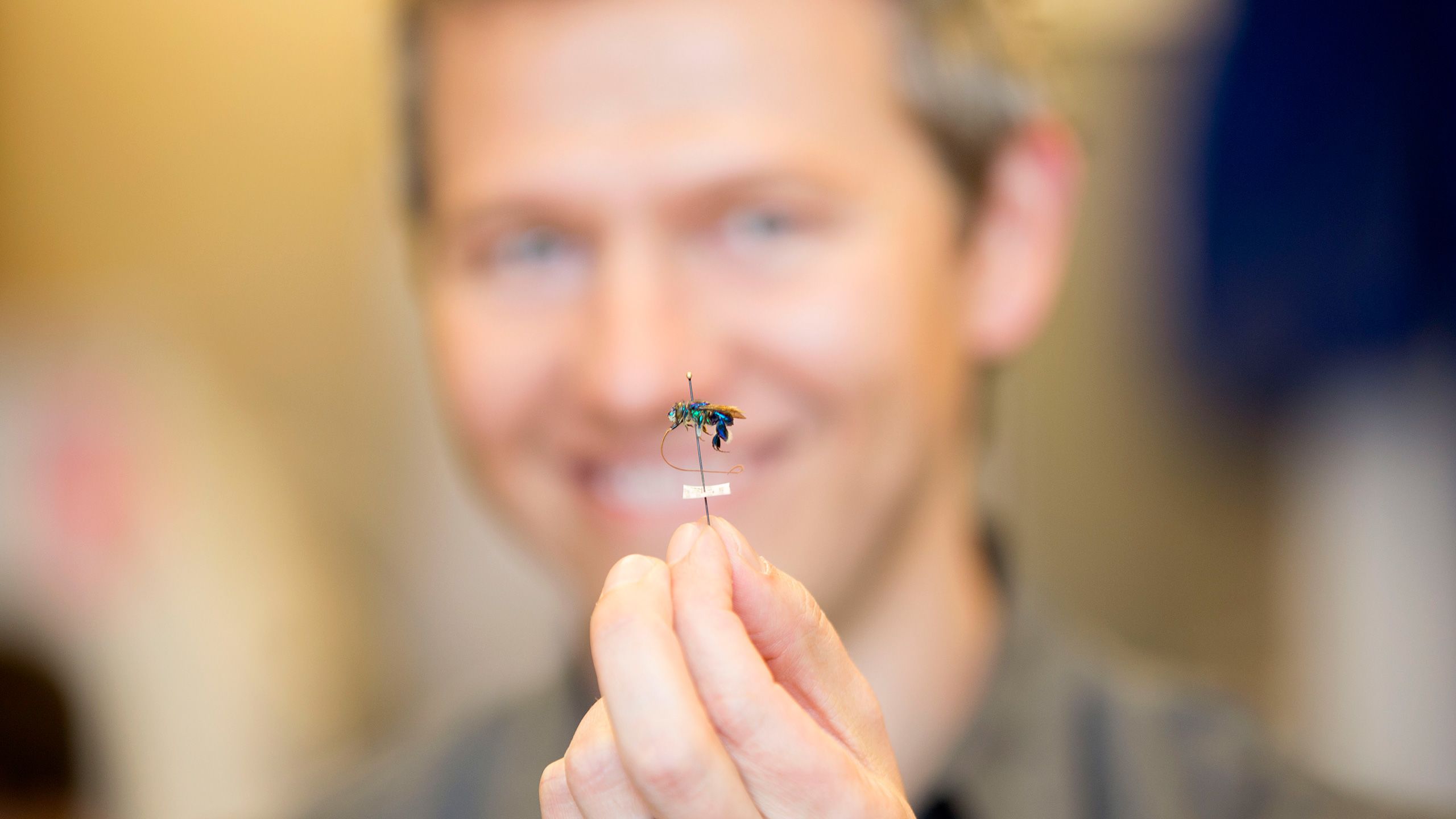  Environmental Science Professor Berry Brosi holding bee